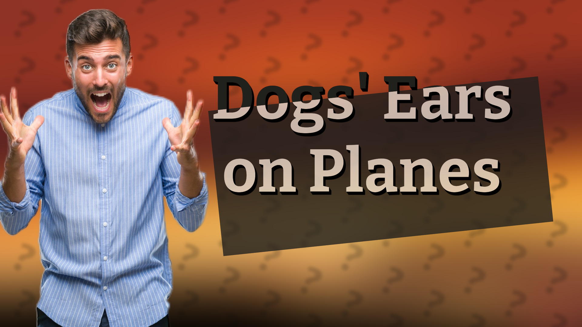 Dogs' Ears on Planes