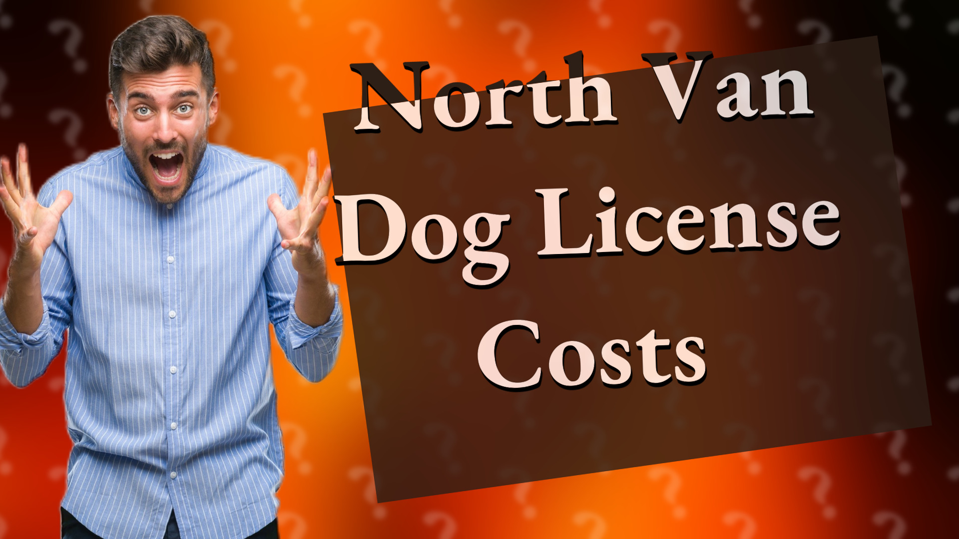North Van Dog License Costs