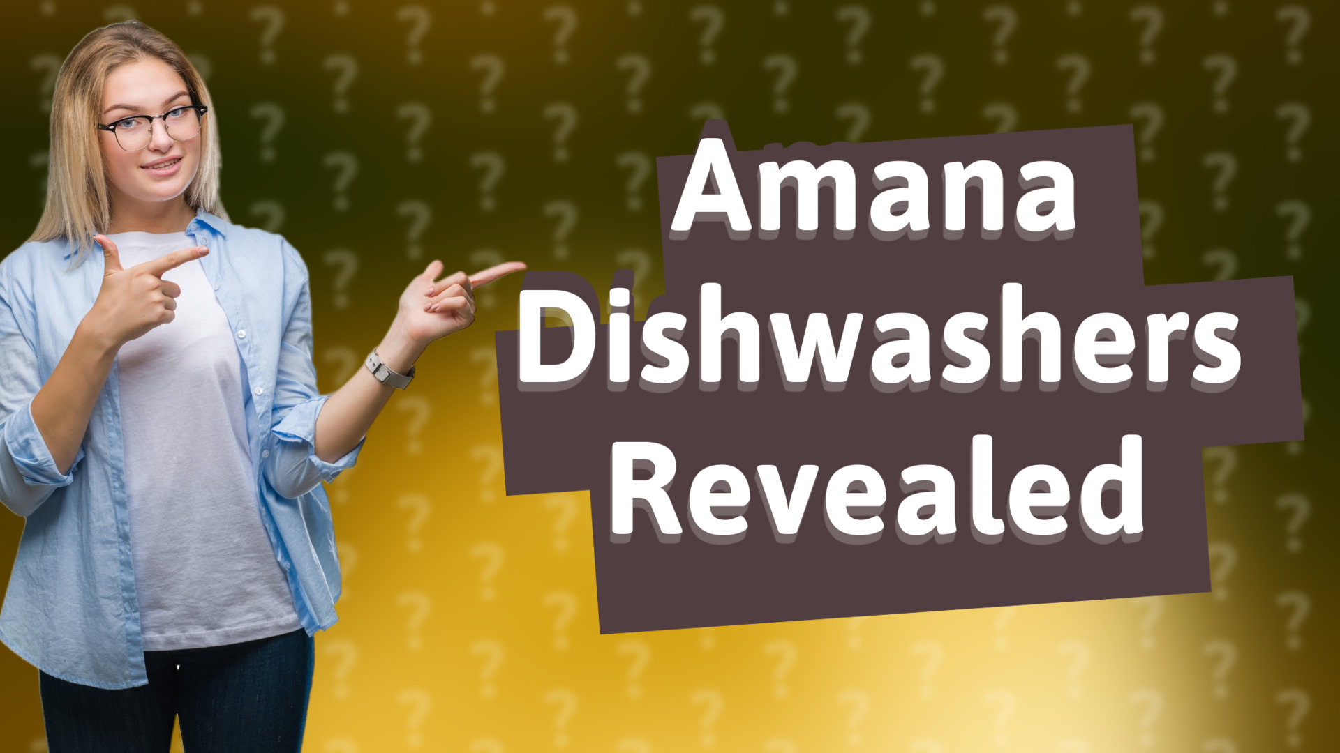 Amana Dishwashers Revealed