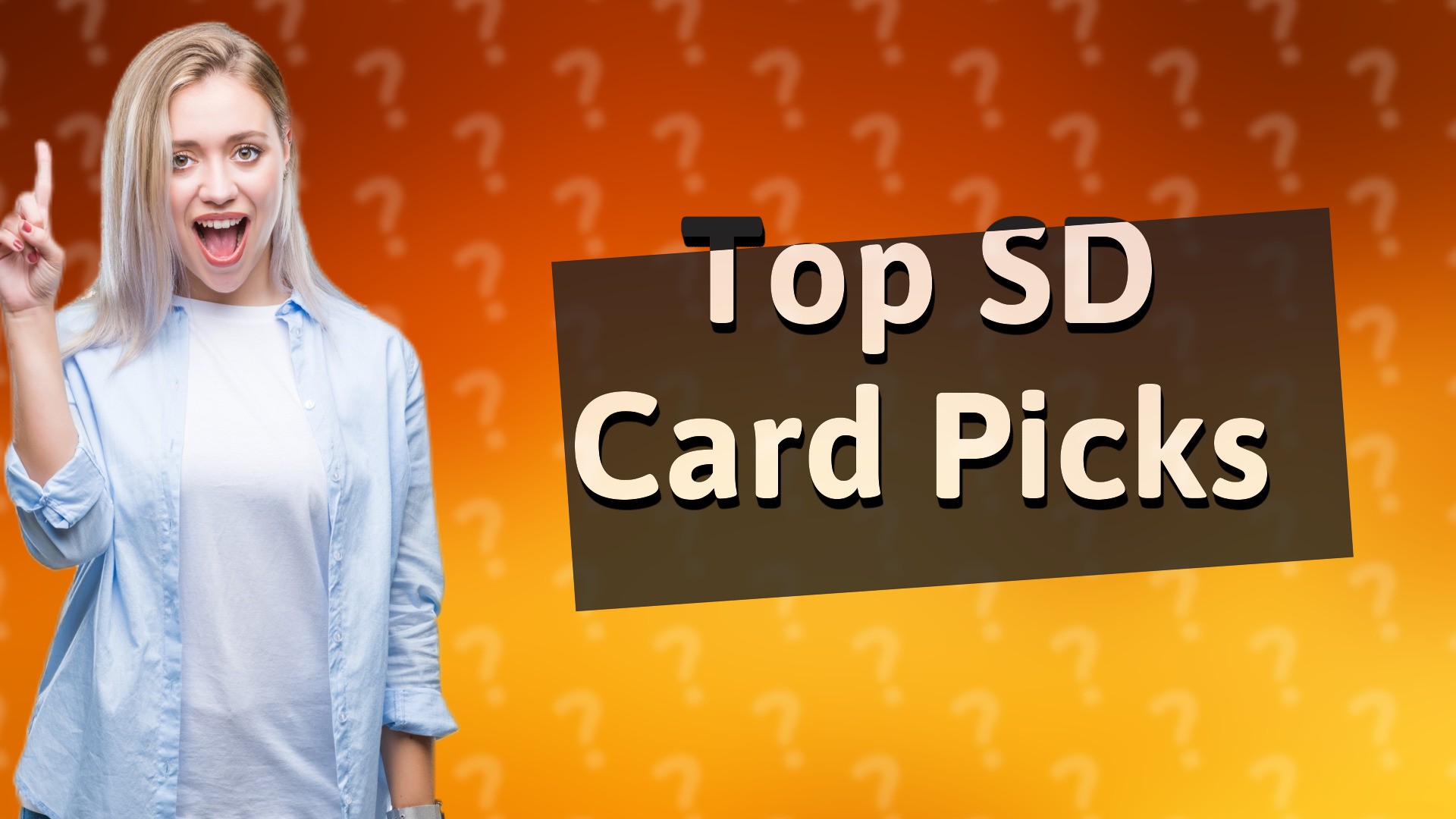 Top SD Card Picks