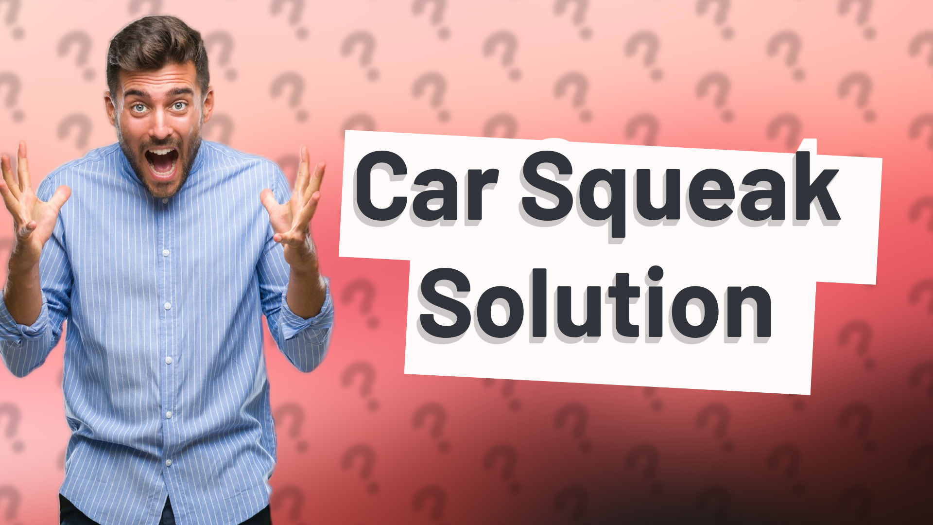 Car Squeak Solution