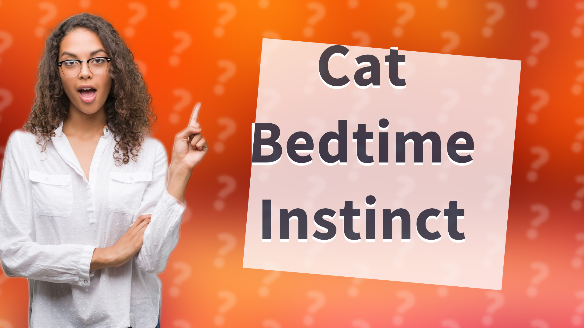 Cat Bedtime Instinct