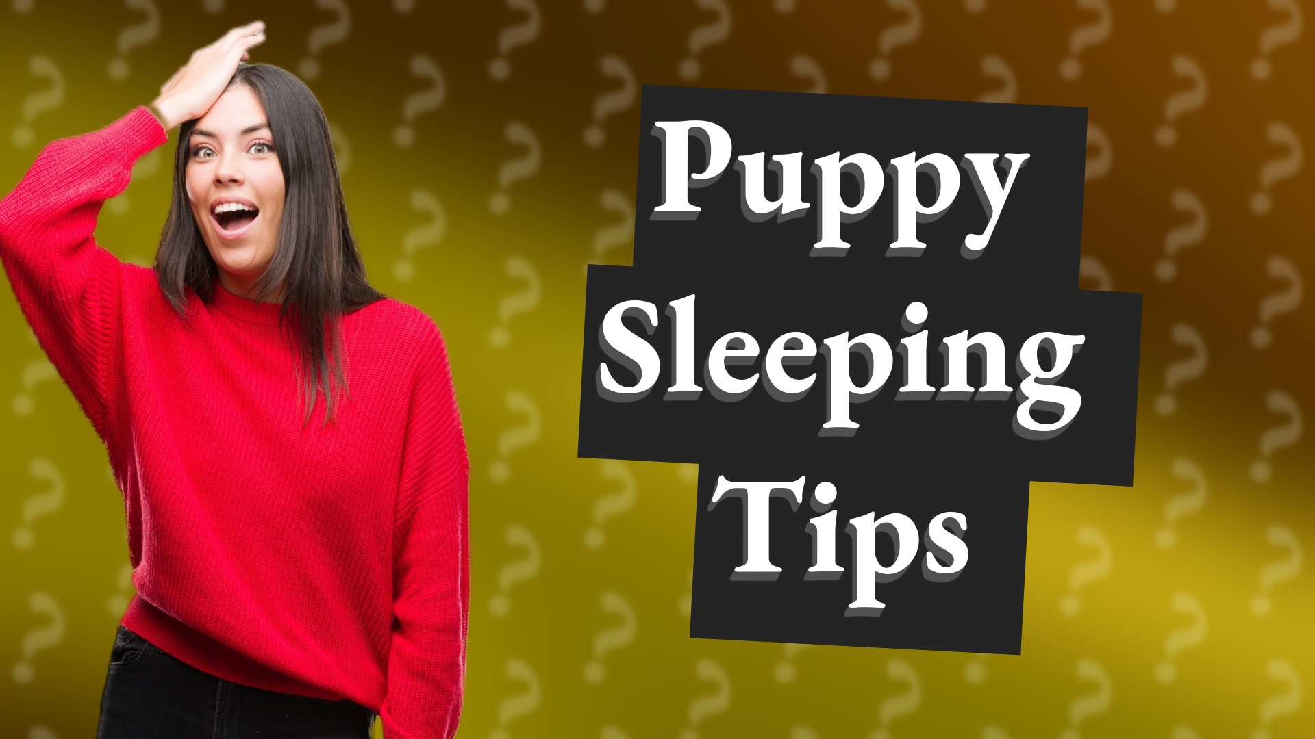Puppy Sleeping Tips