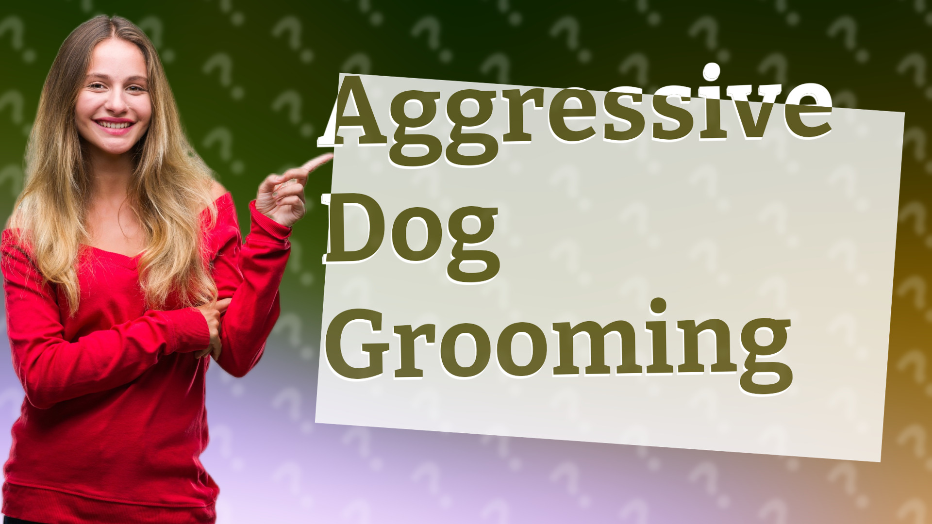 Aggressive Dog Grooming