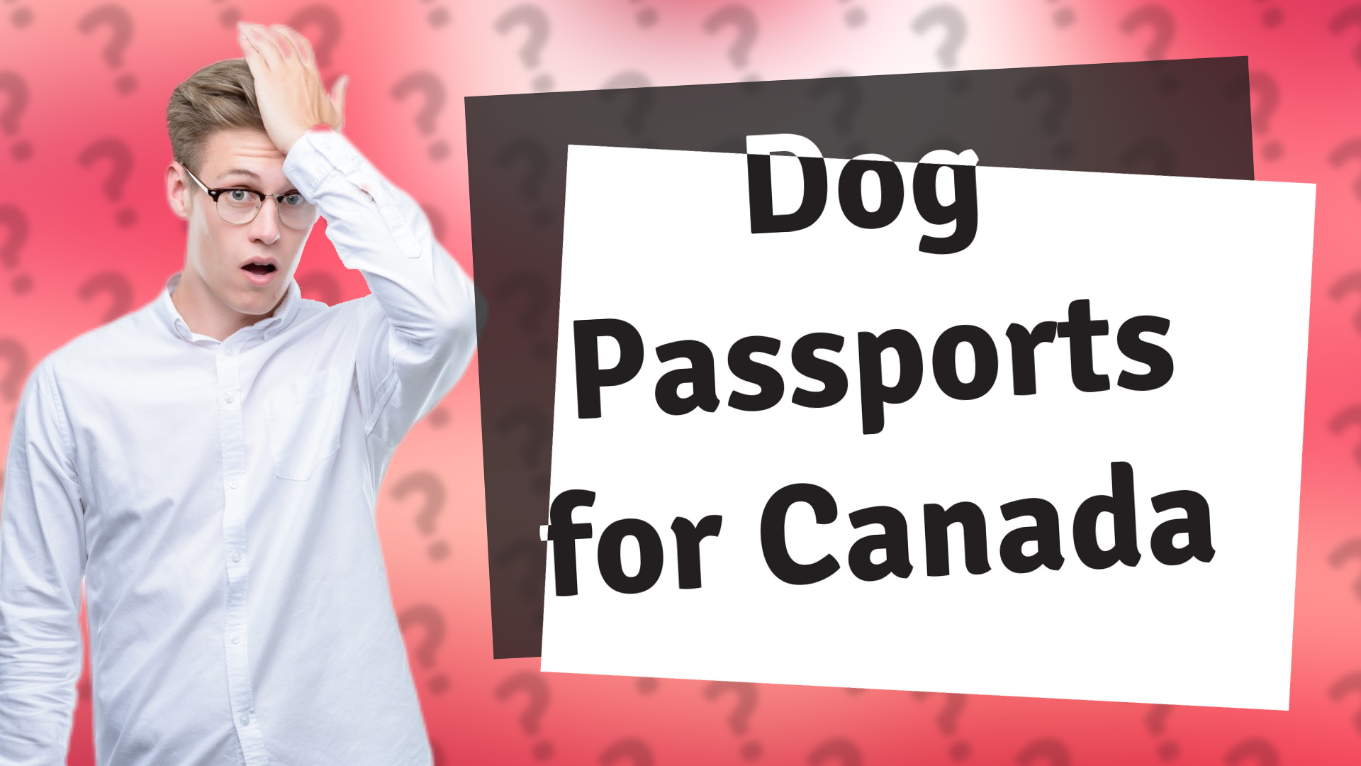 Dog Passports for Canada