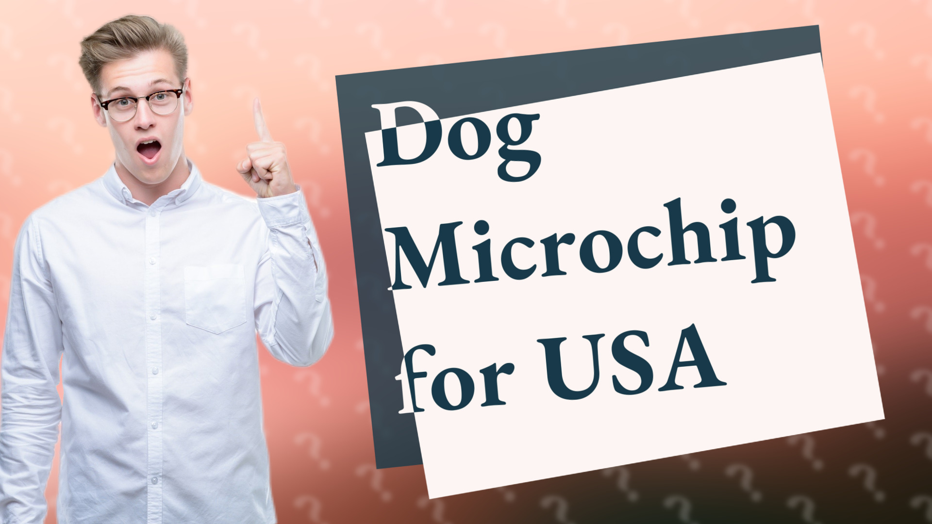 Dog Microchip for USA