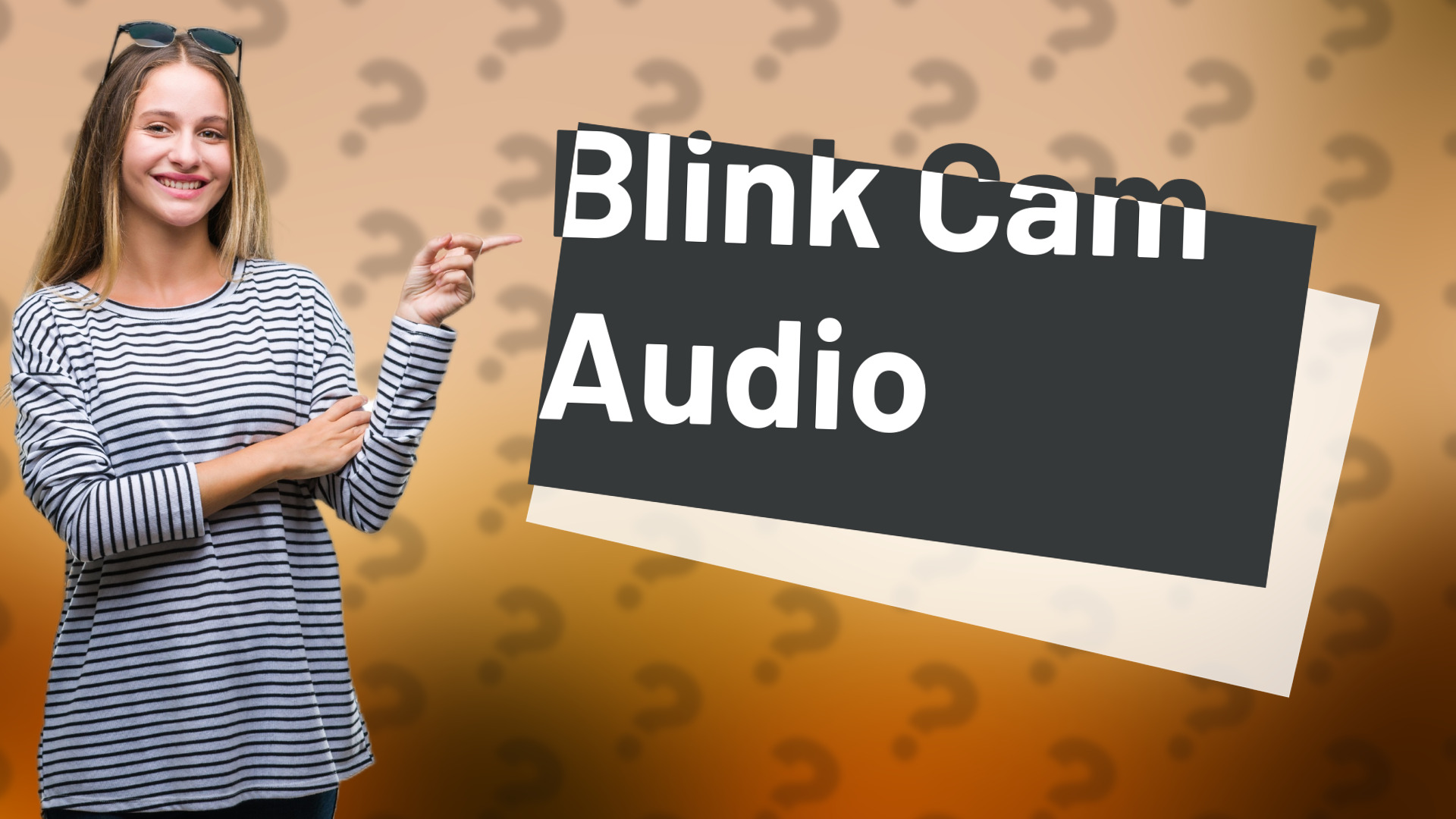 Blink Cam Audio