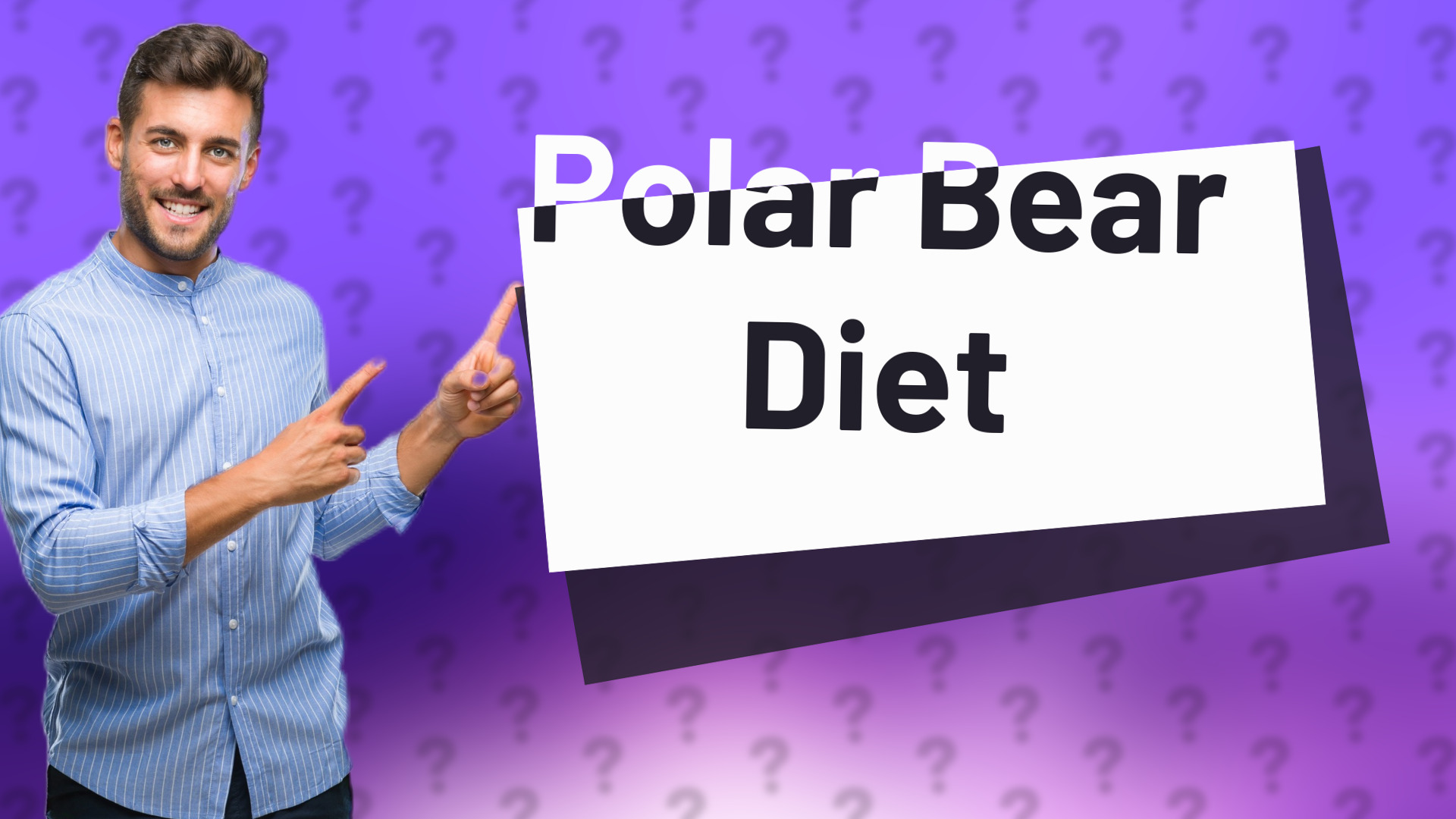 Polar Bear Diet