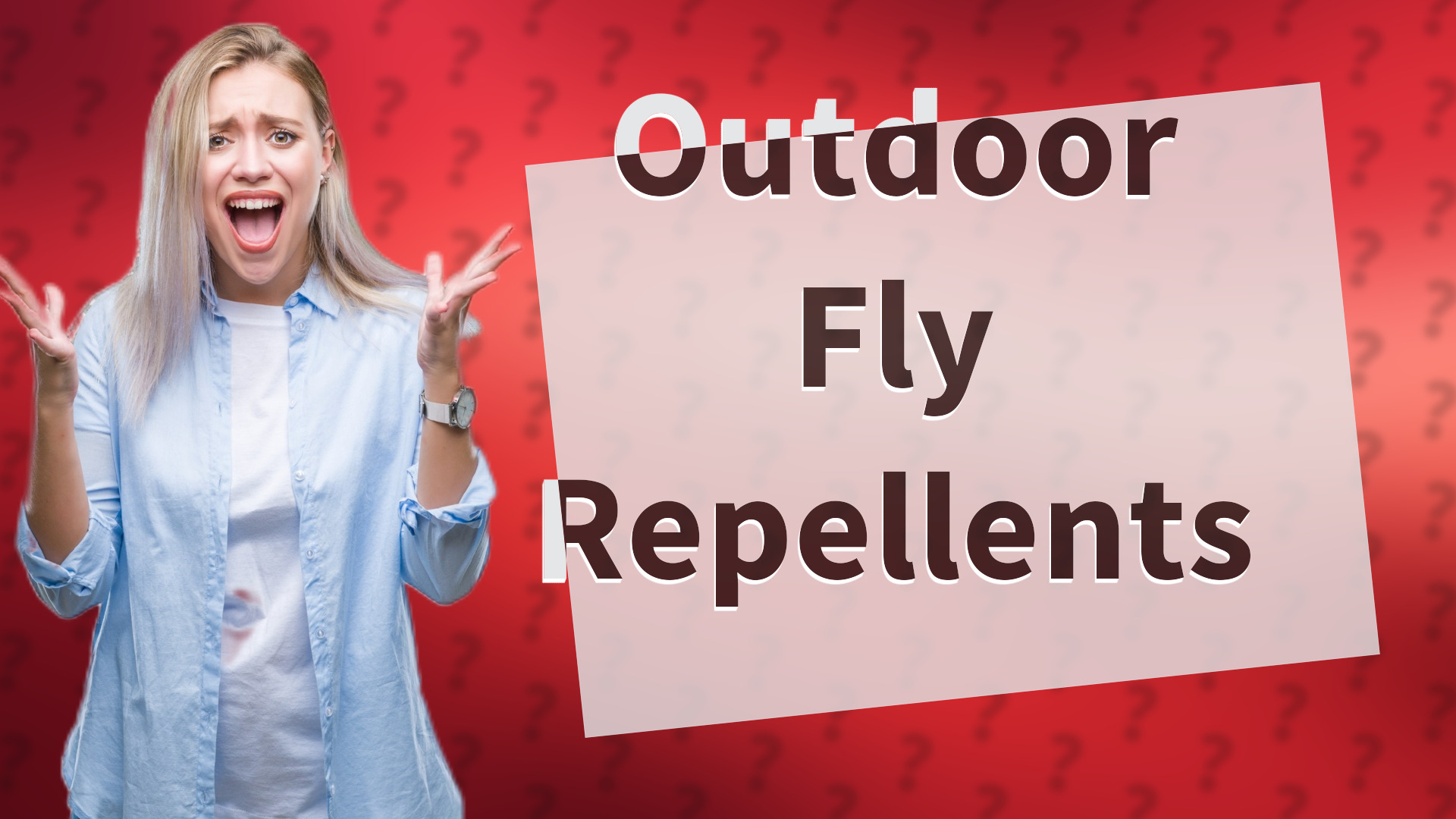 Outdoor Fly Repellents