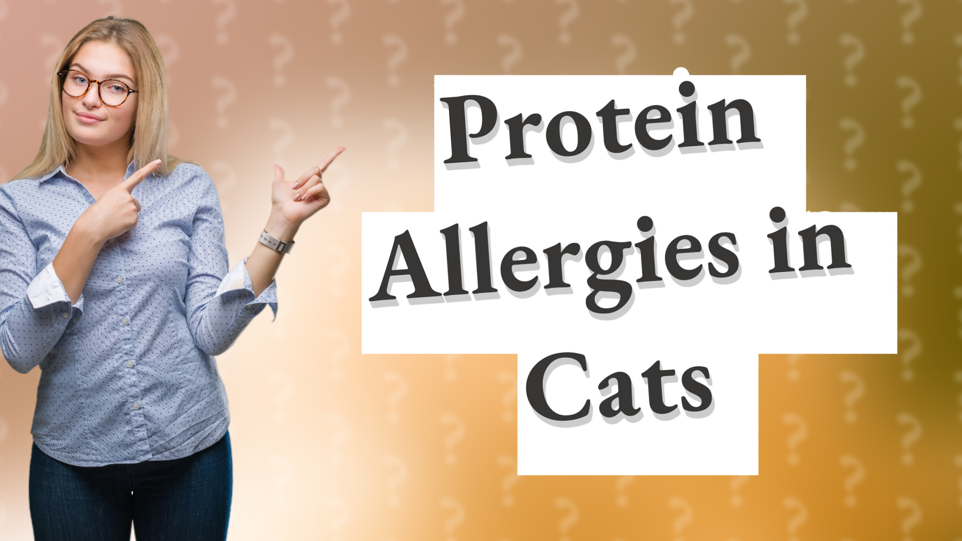Protein Allergies in Cats