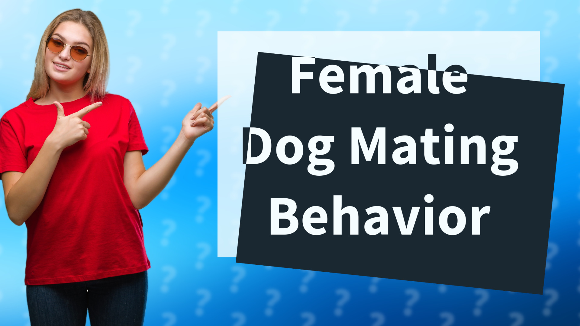 Female Dog Mating Behavior