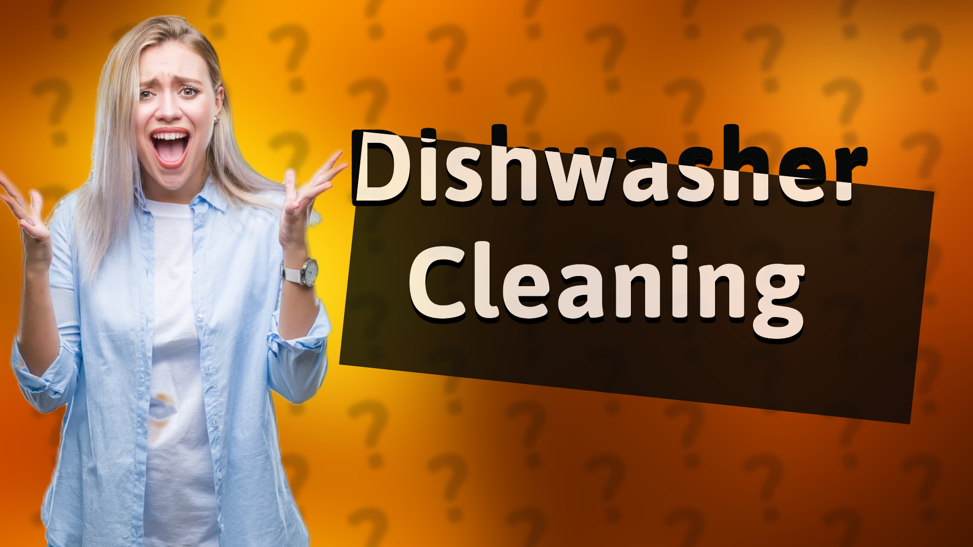 Dishwasher Cleaning