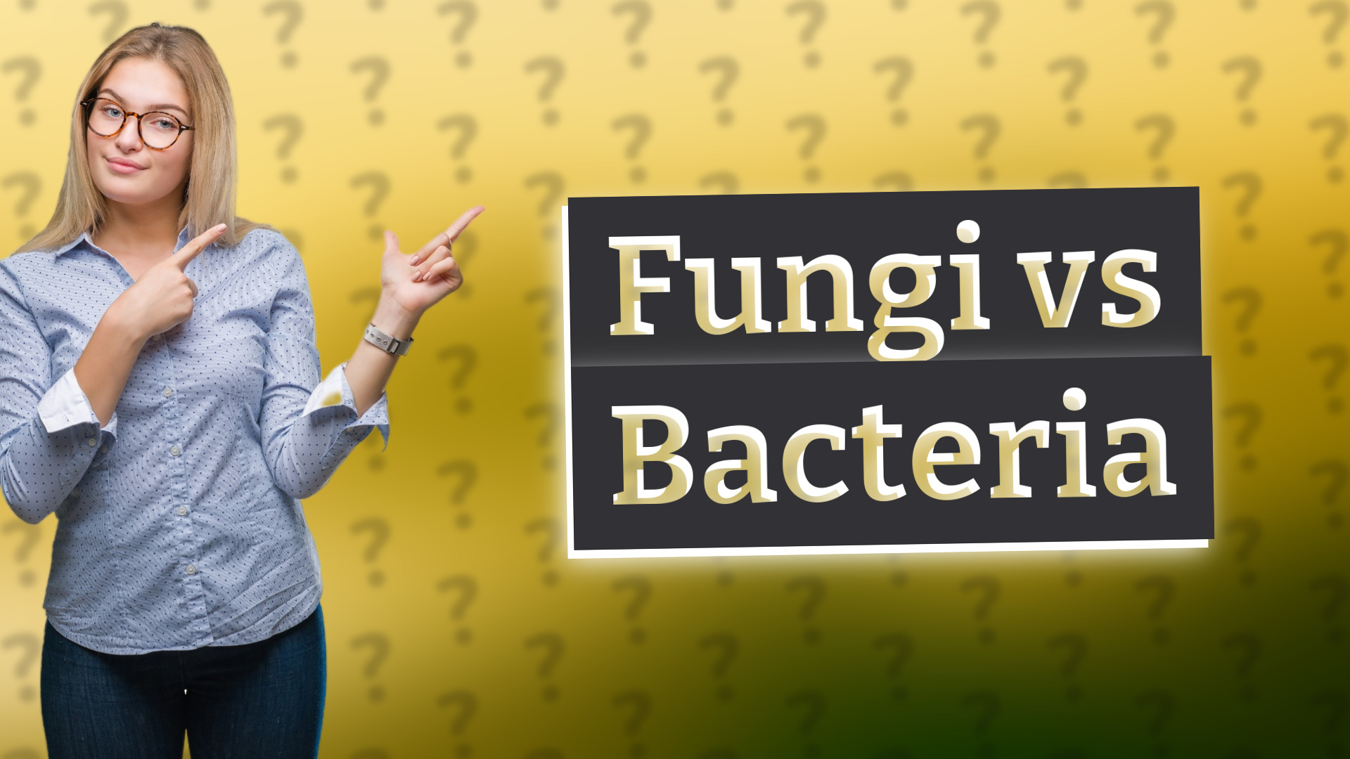 Fungi vs Bacteria