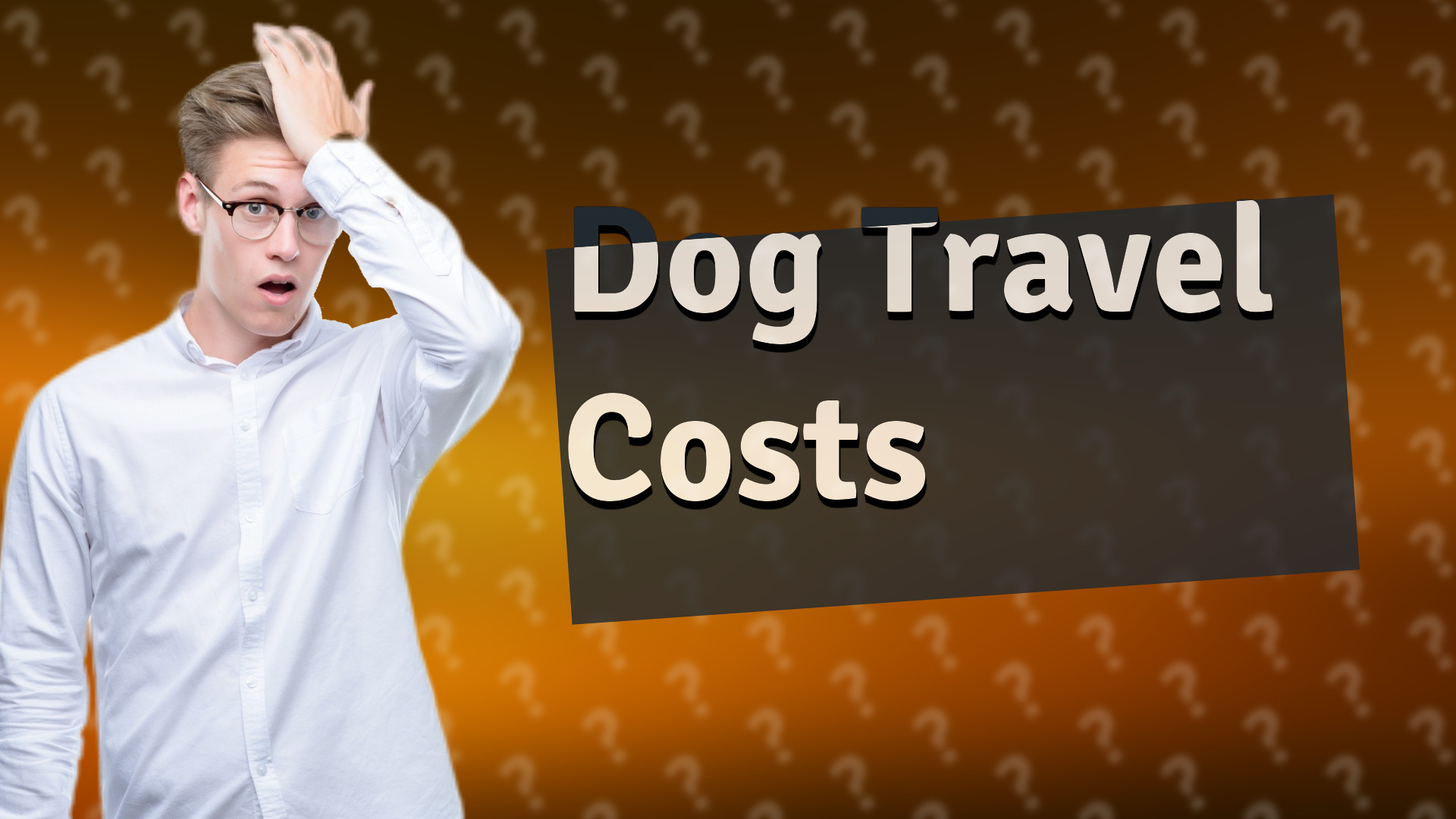 Dog Travel Costs