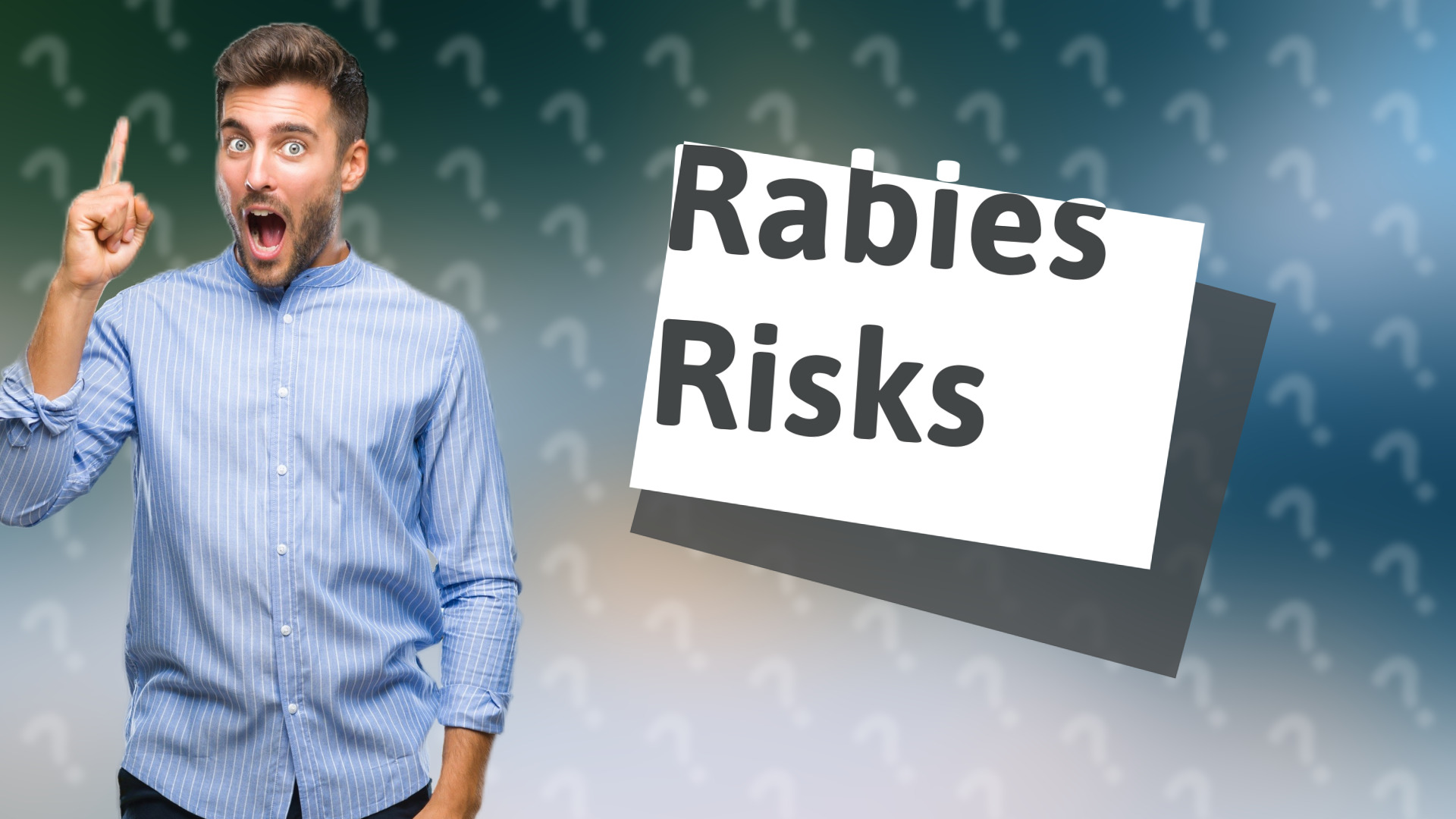 Rabies Risks