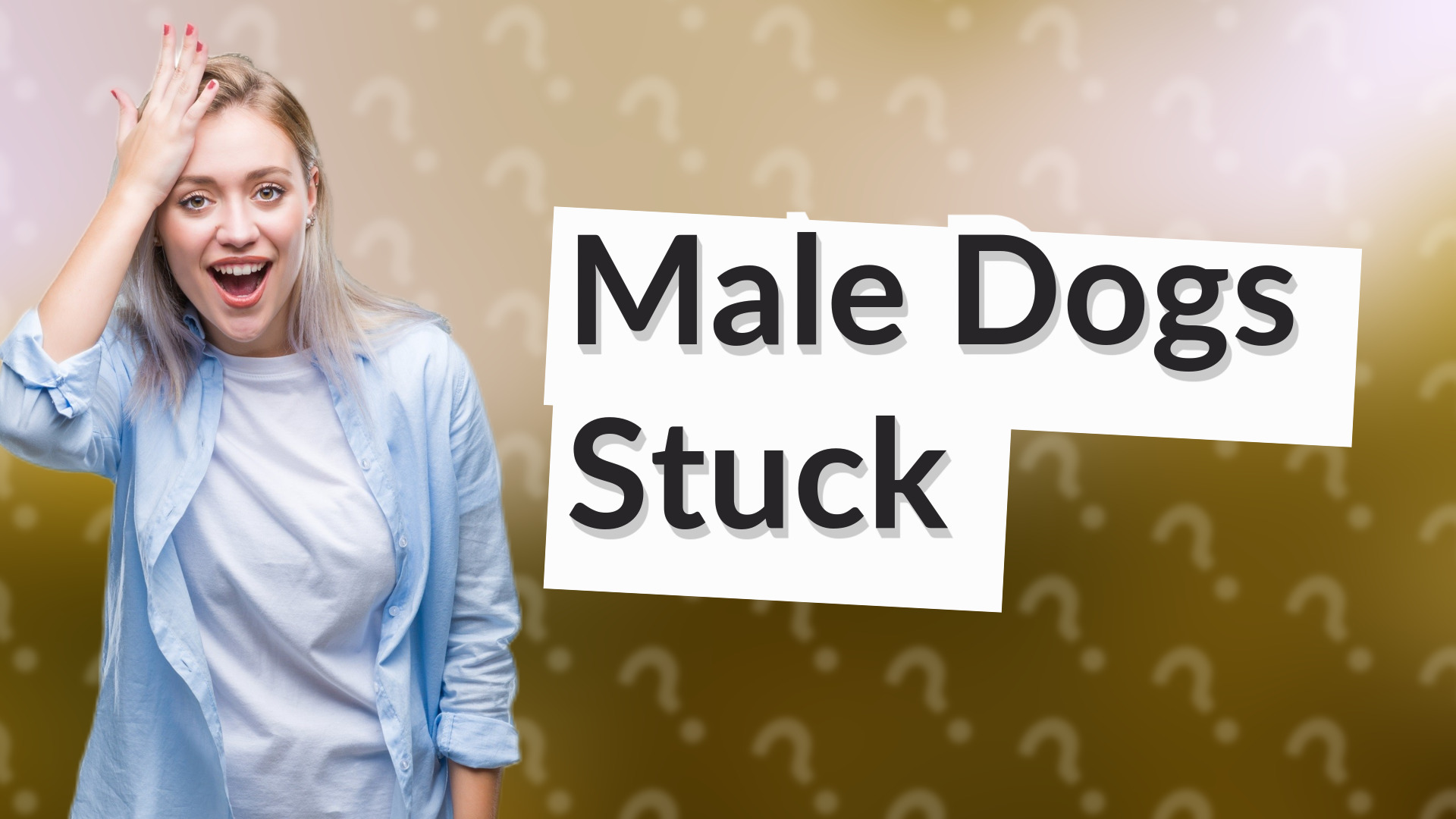 Male Dogs Stuck