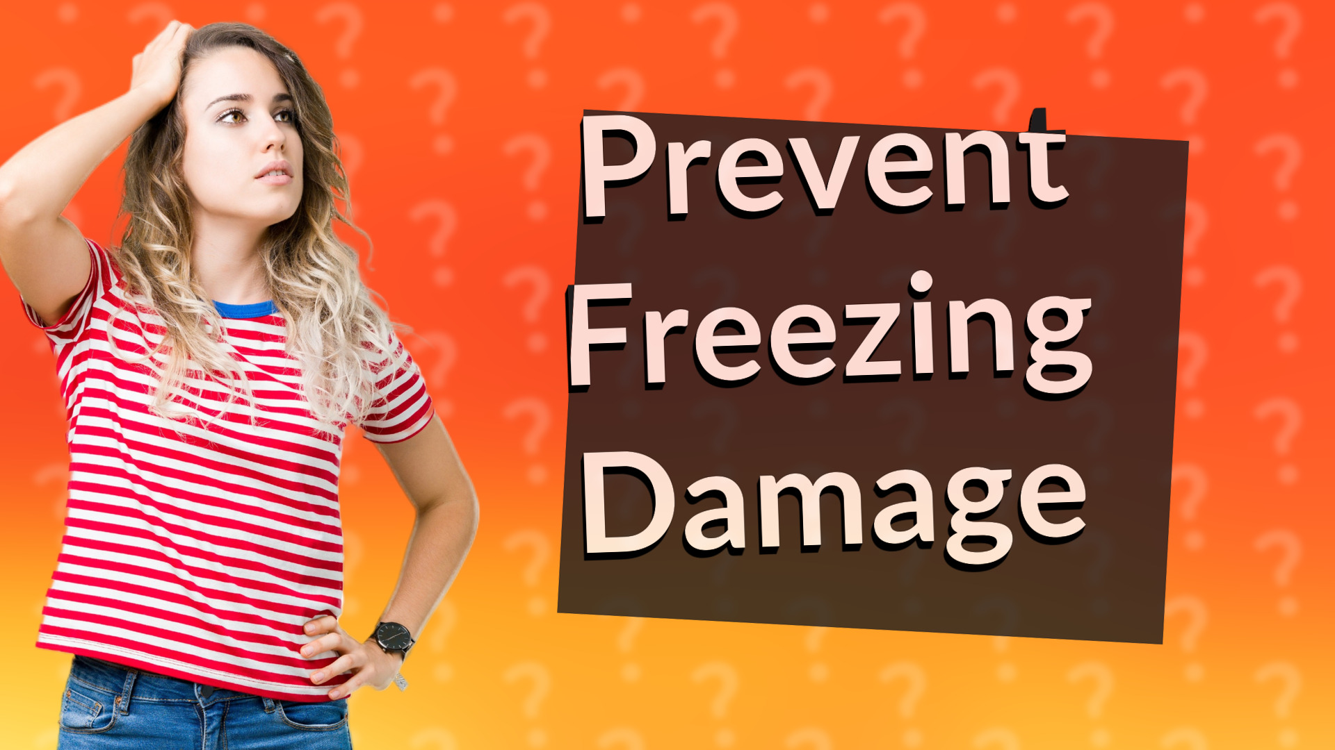 Prevent Freezing Damage