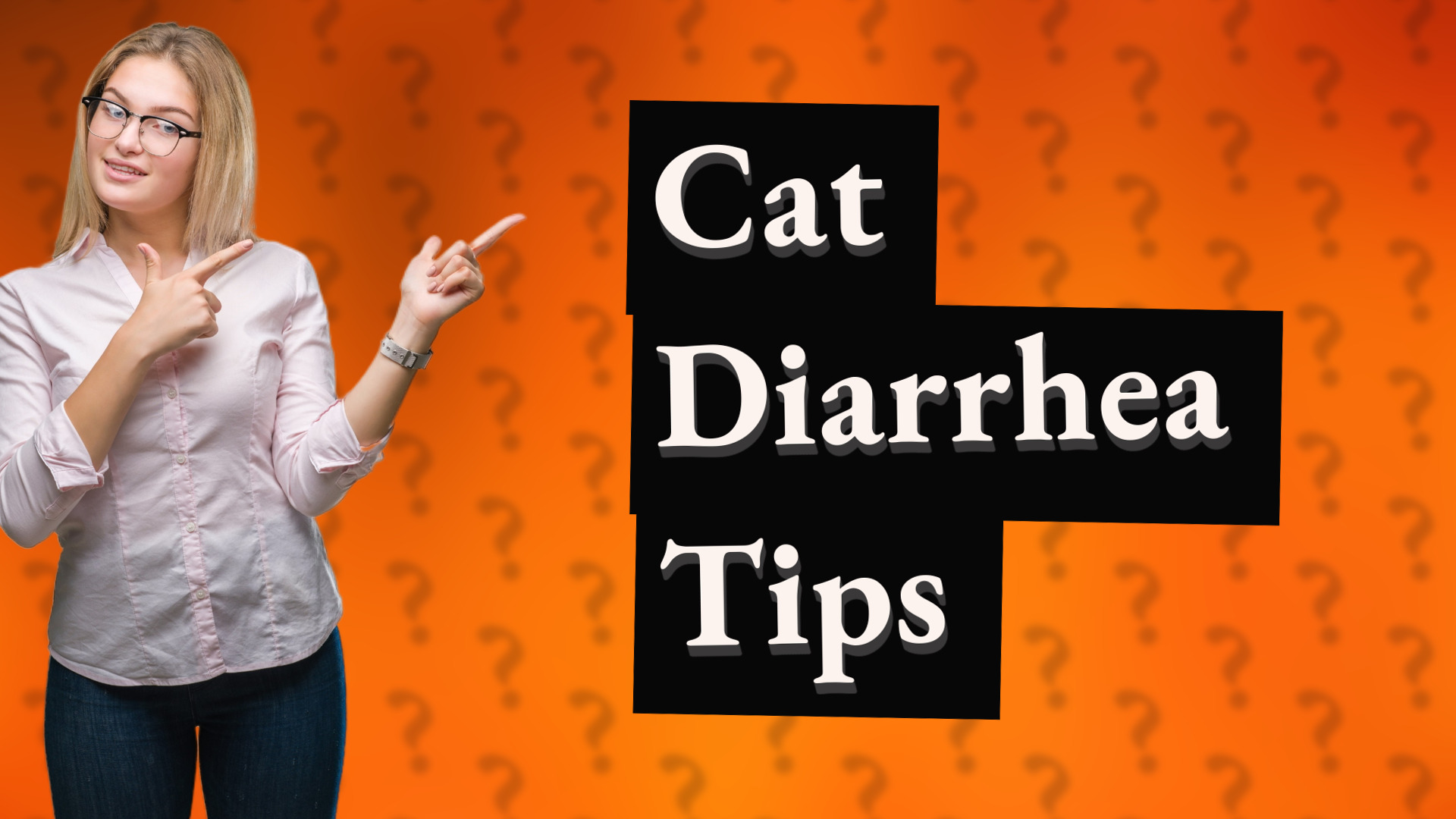 Cat Diarrhea Tips