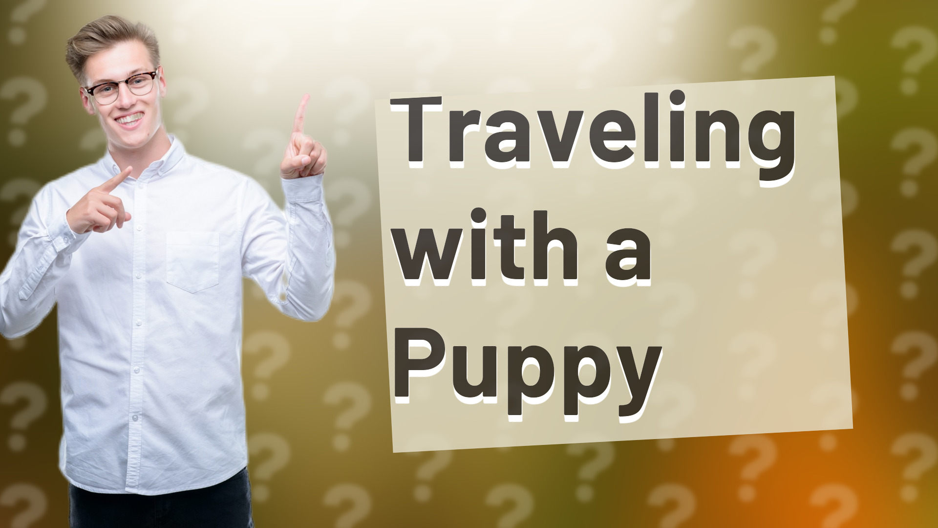 Traveling with a Puppy