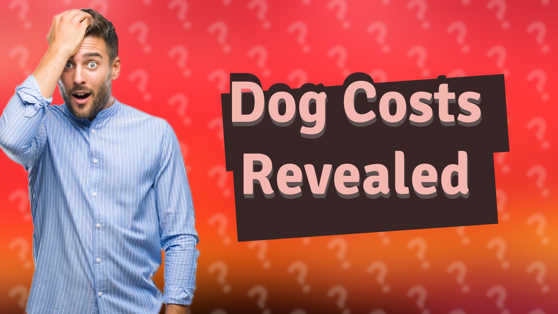 Dog Costs Revealed