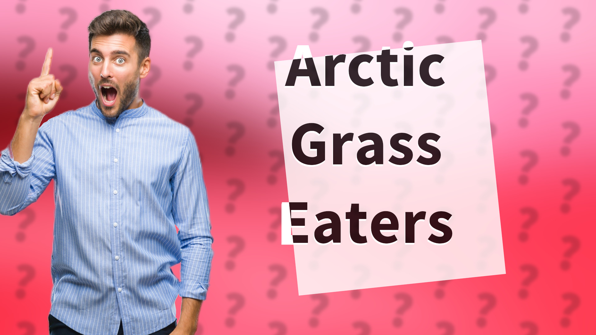 Arctic Grass Eaters