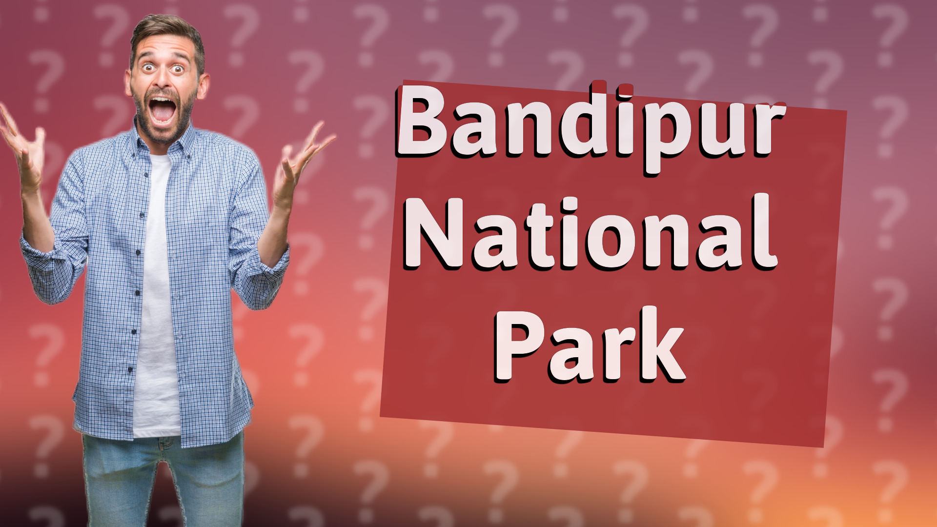 Bandipur National Park