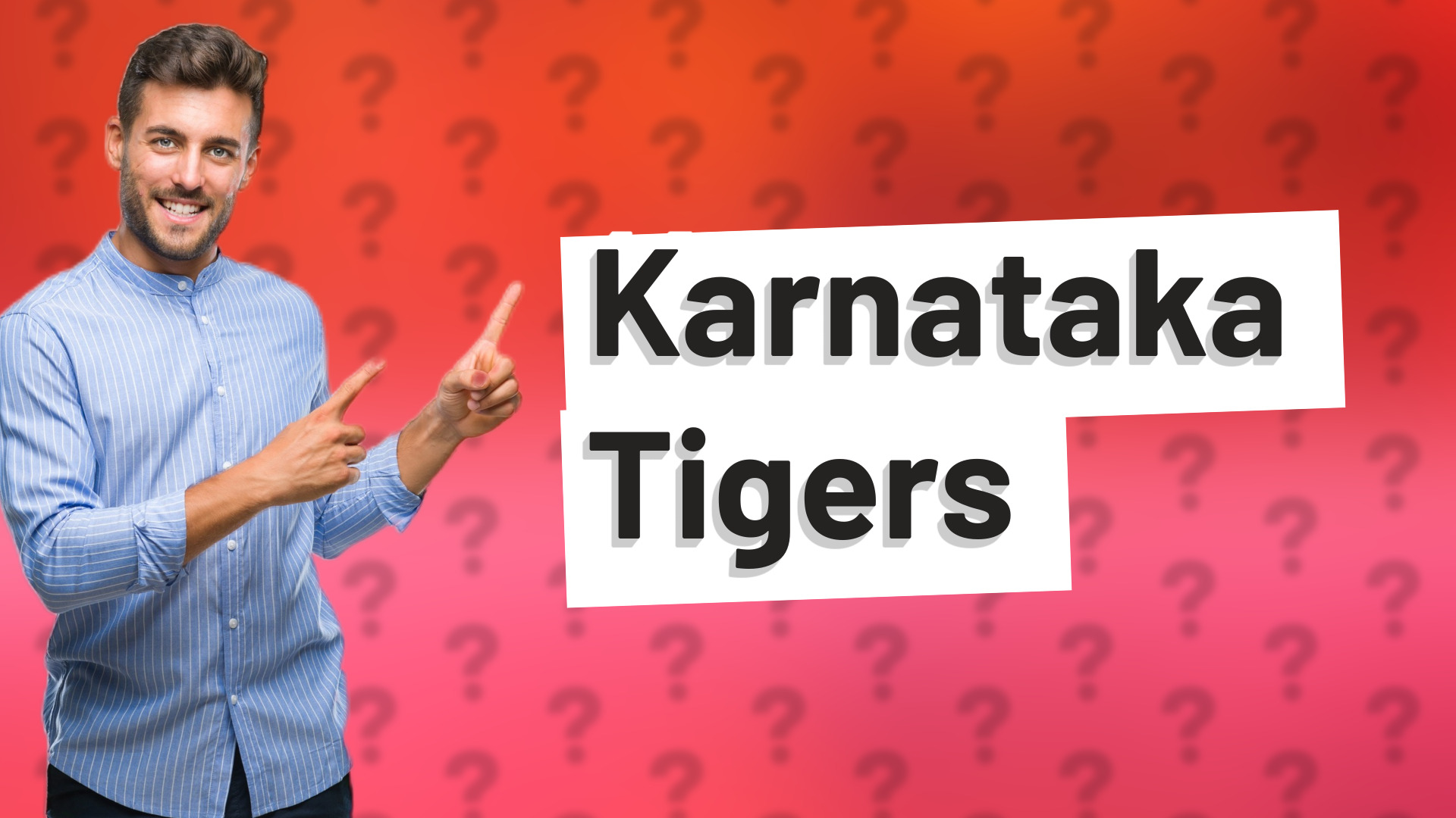 Karnataka Tigers