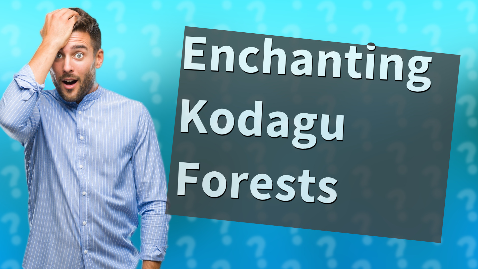 Enchanting Kodagu Forests