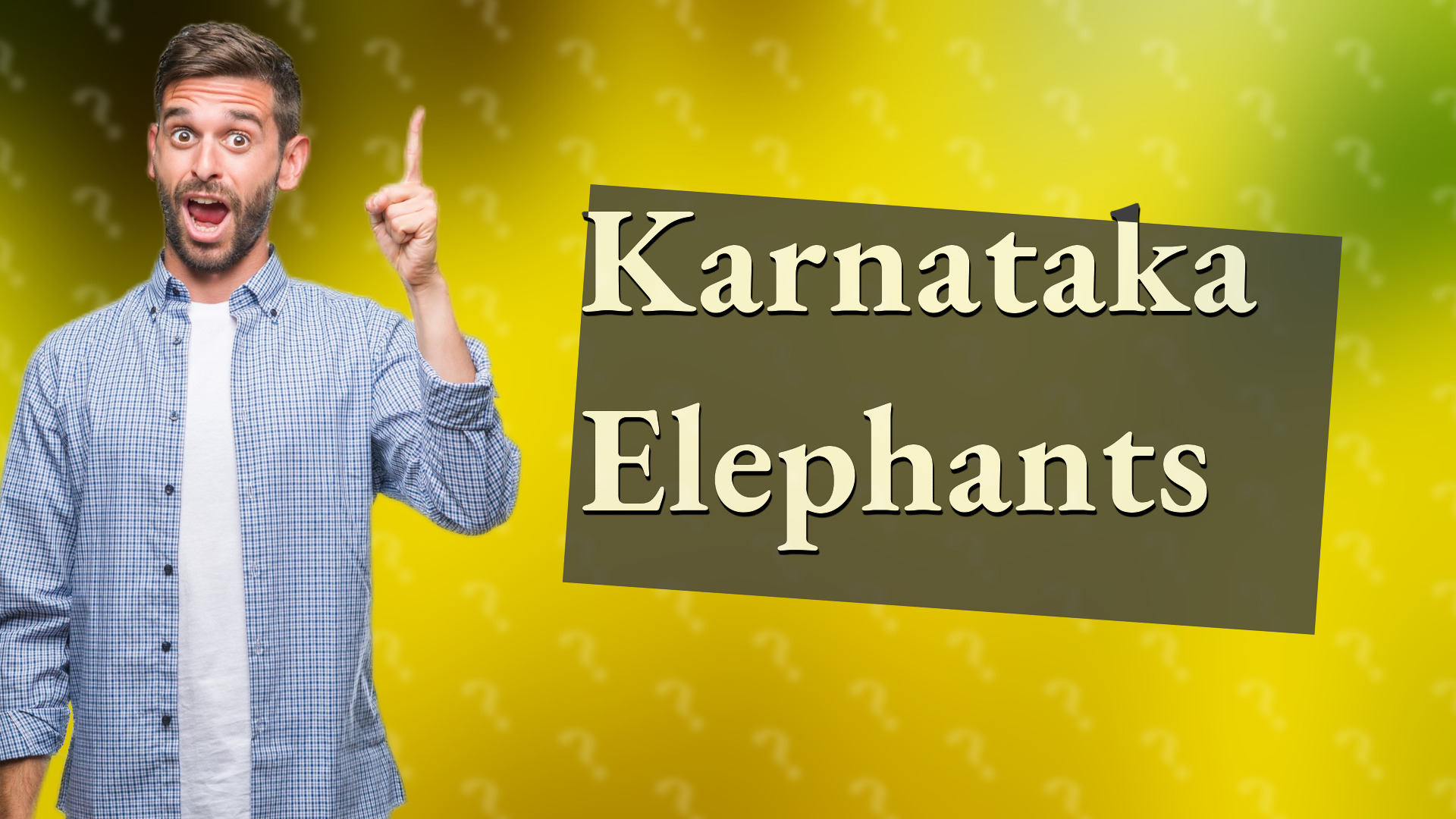 Karnataka Elephants