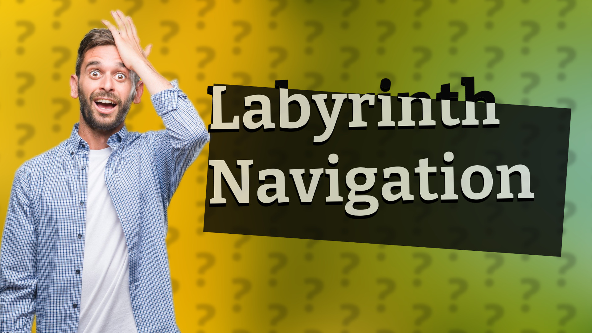 Labyrinth Navigation