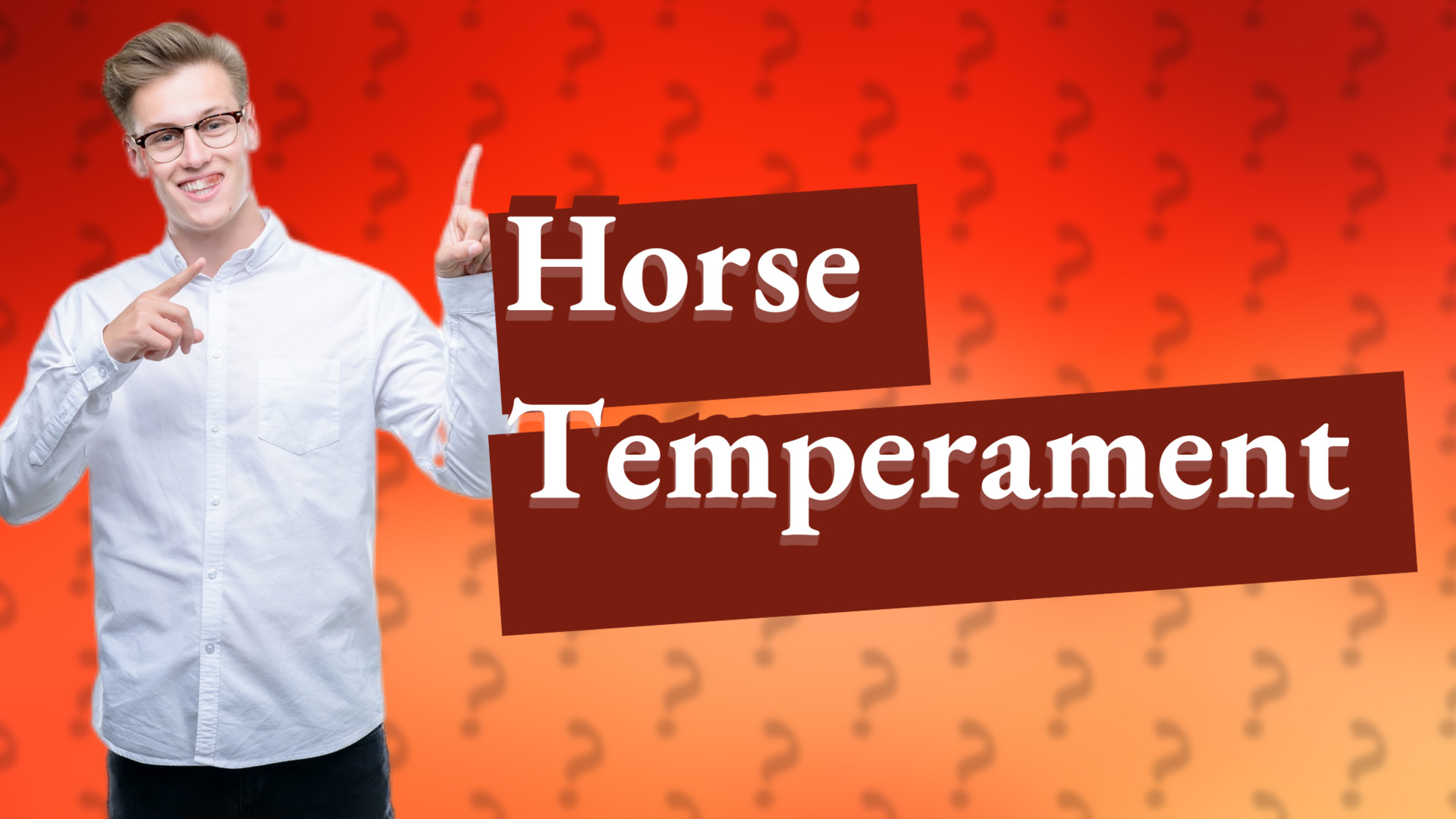 Horse Temperament