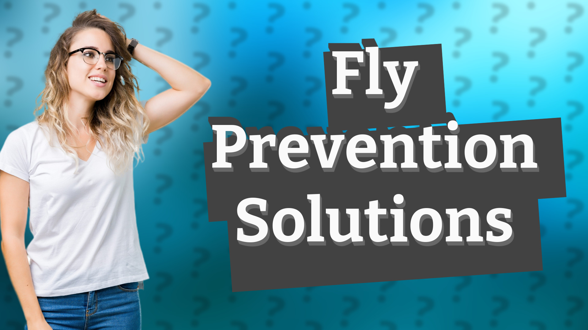 Fly Prevention Solutions