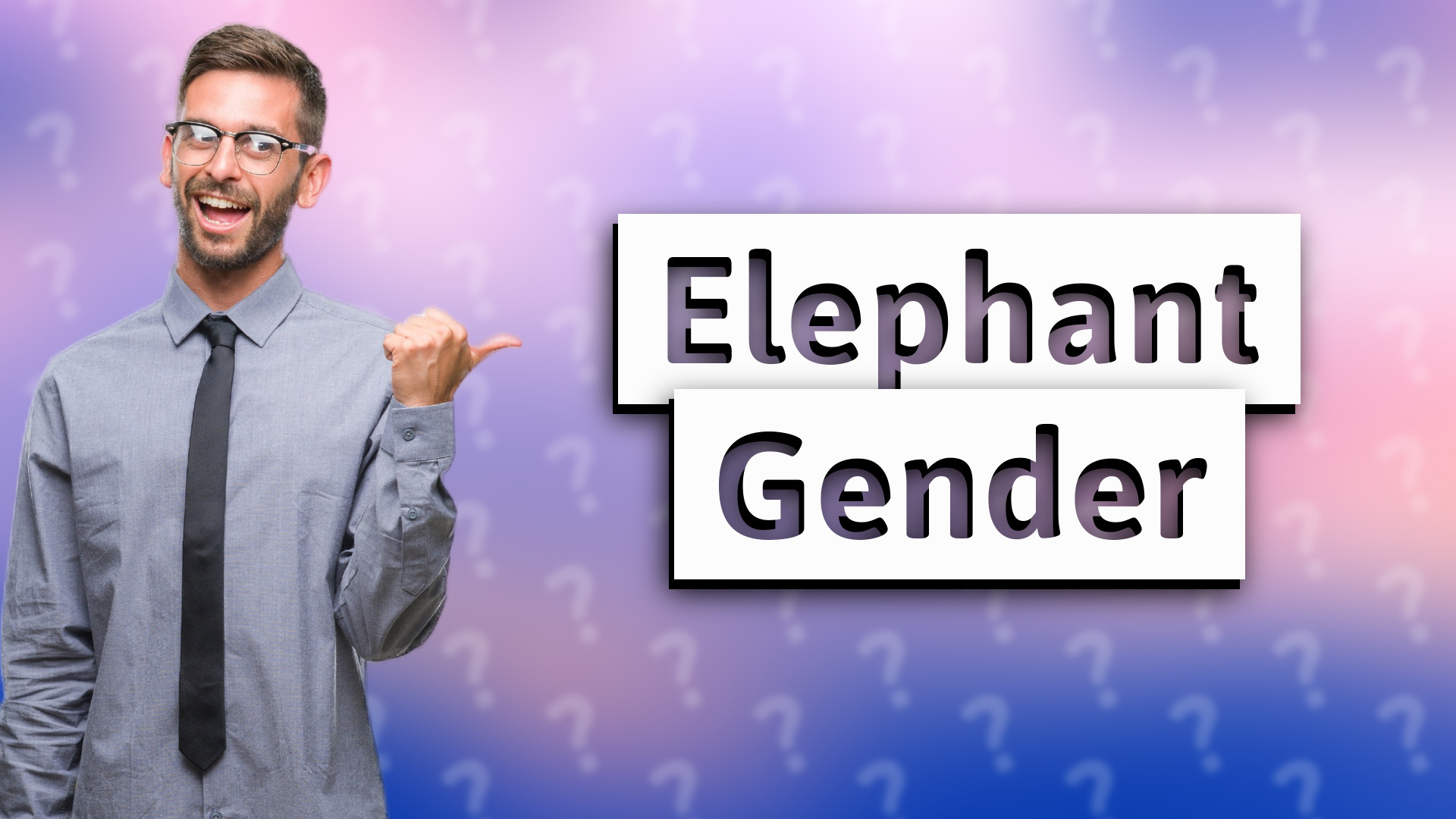 Elephant Gender