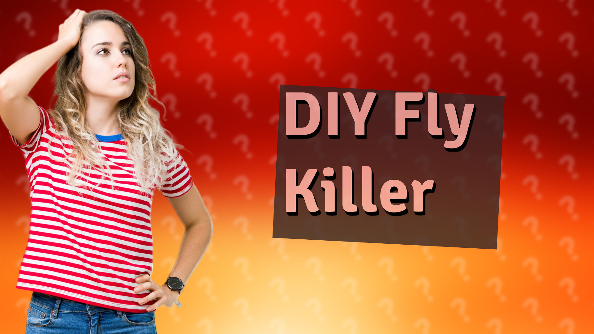 DIY Fly Killer