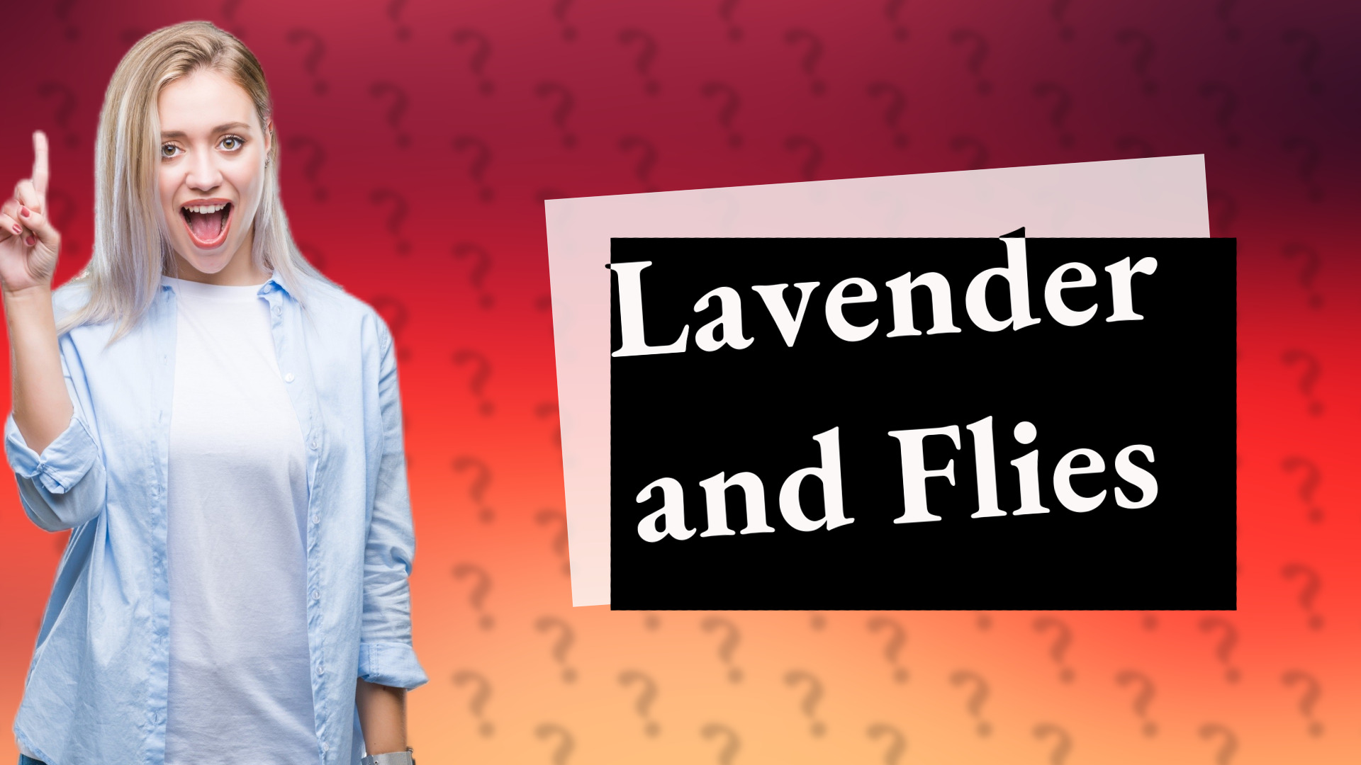 Lavender and Flies