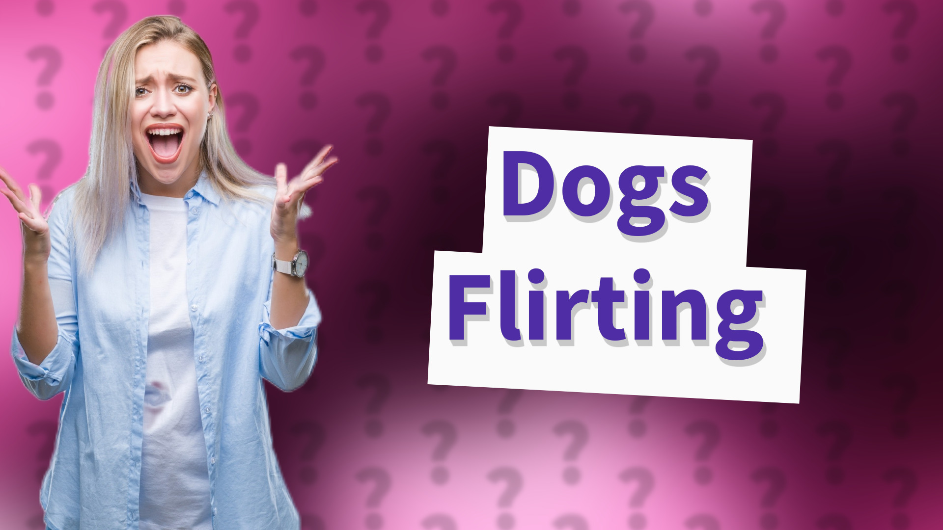 Dogs Flirting
