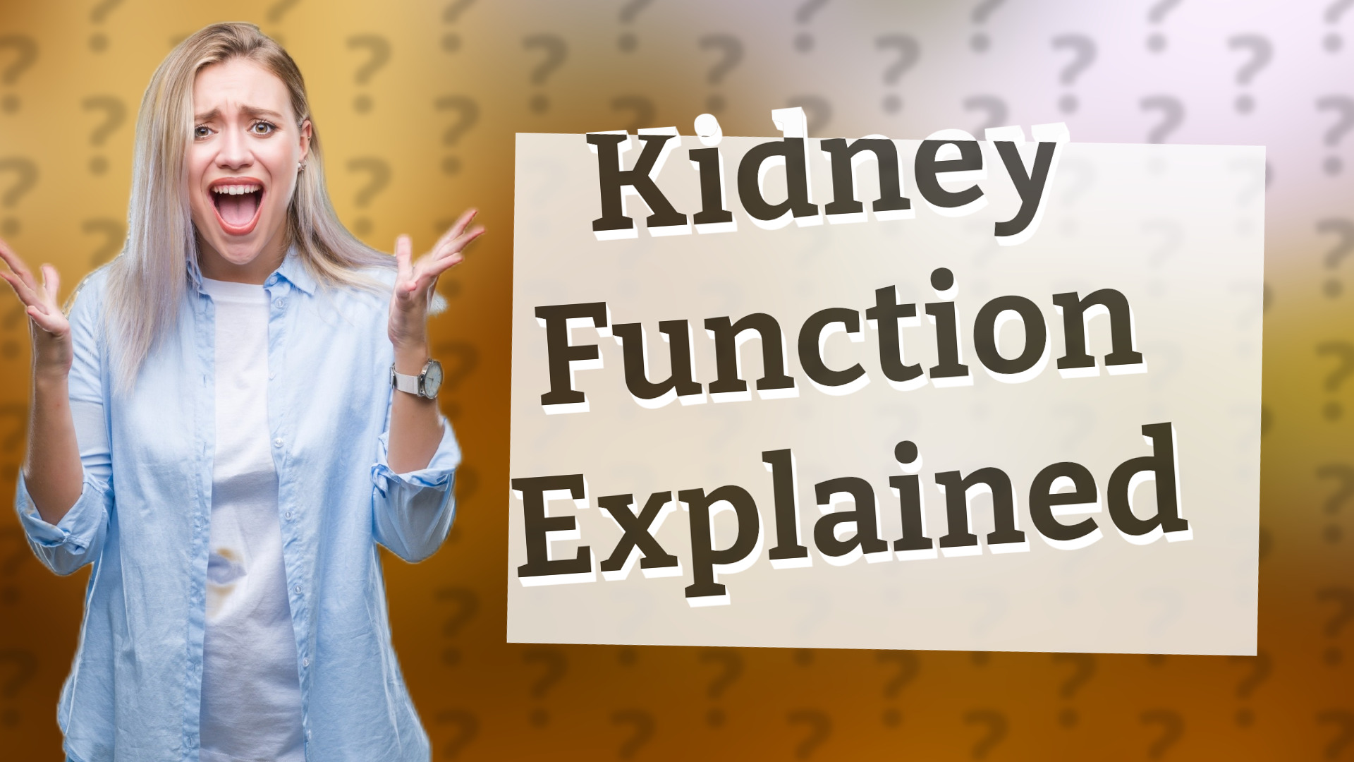 Kidney Function Explained