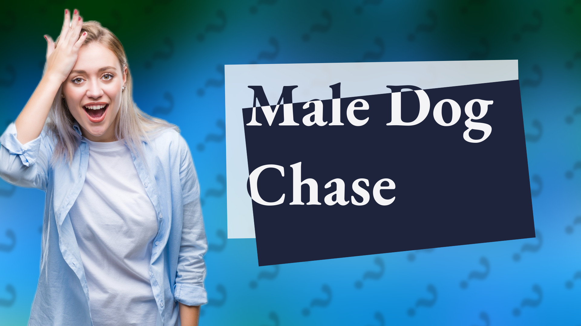 Male Dog Chase