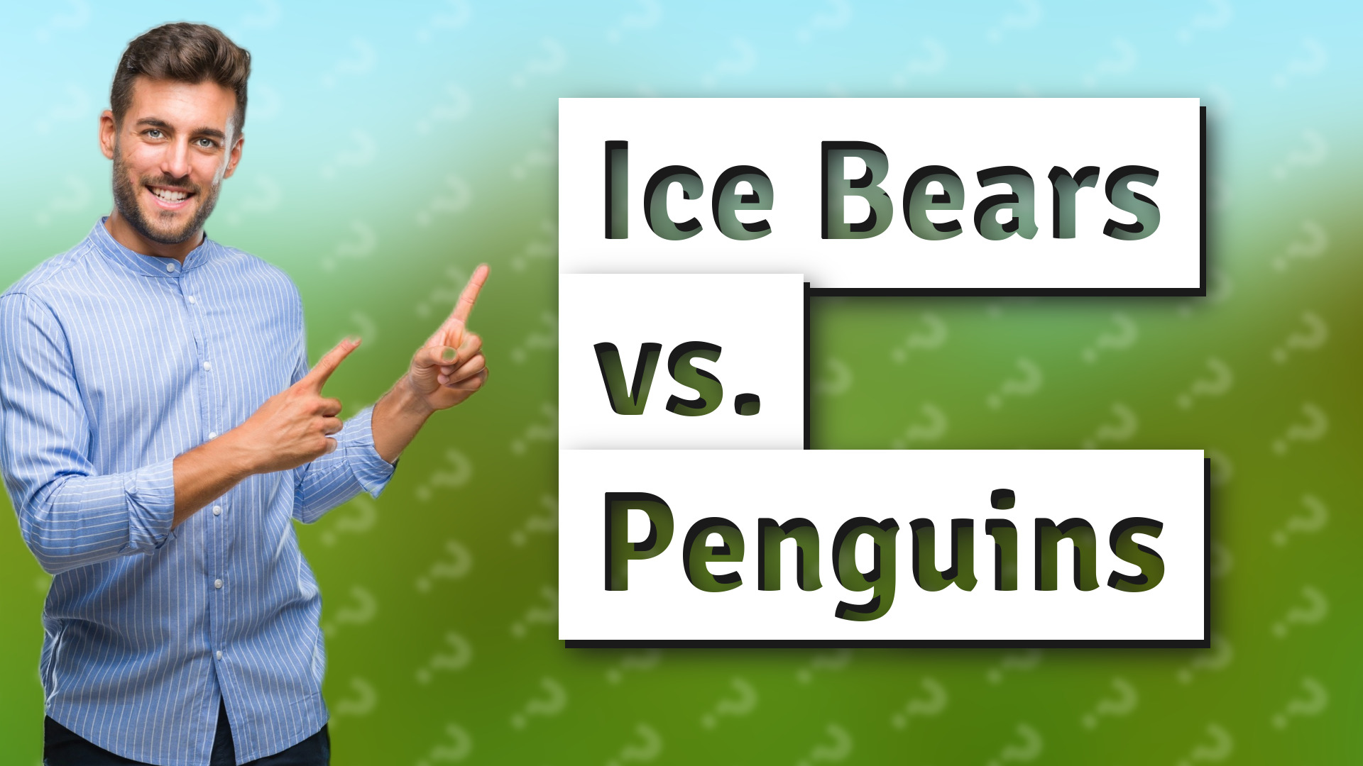 Ice Bears vs. Penguins