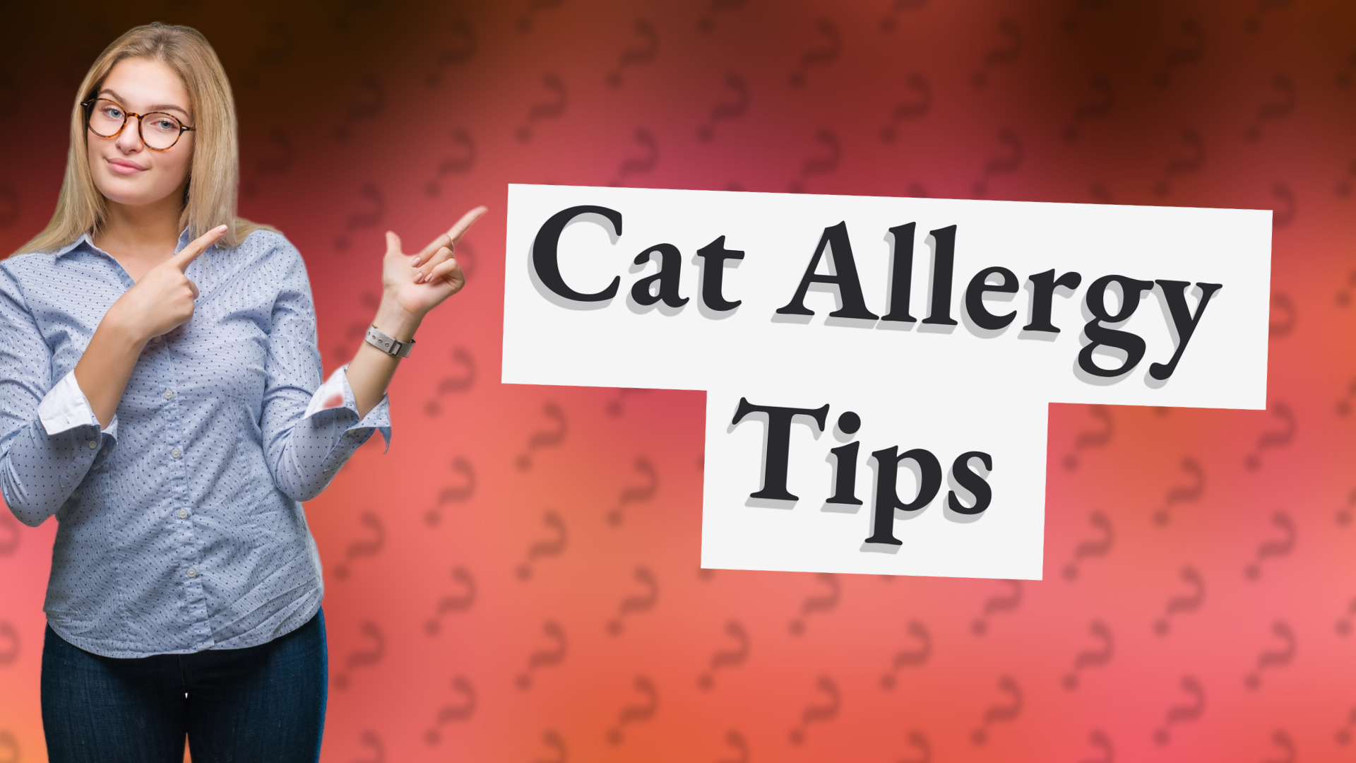 Cat Allergy Tips