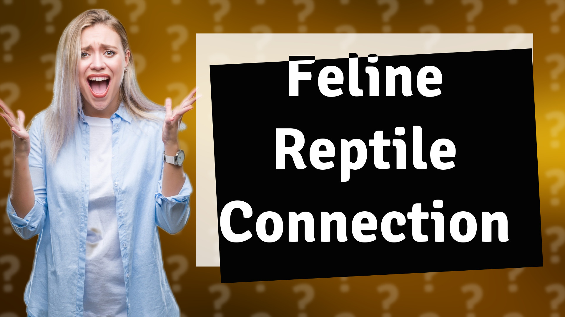 Feline Reptile Connection