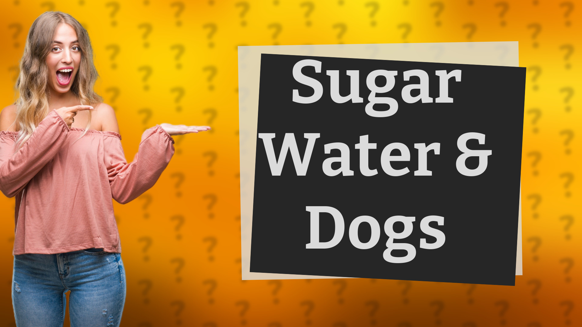 Sugar Water & Dogs