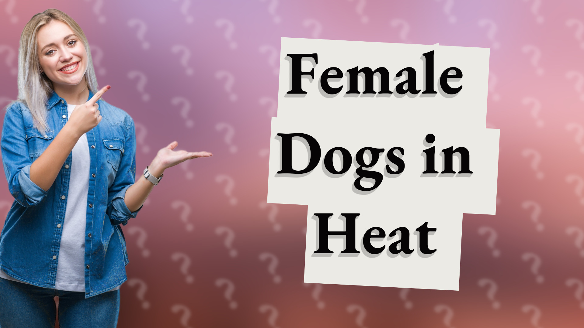 Female Dogs in Heat