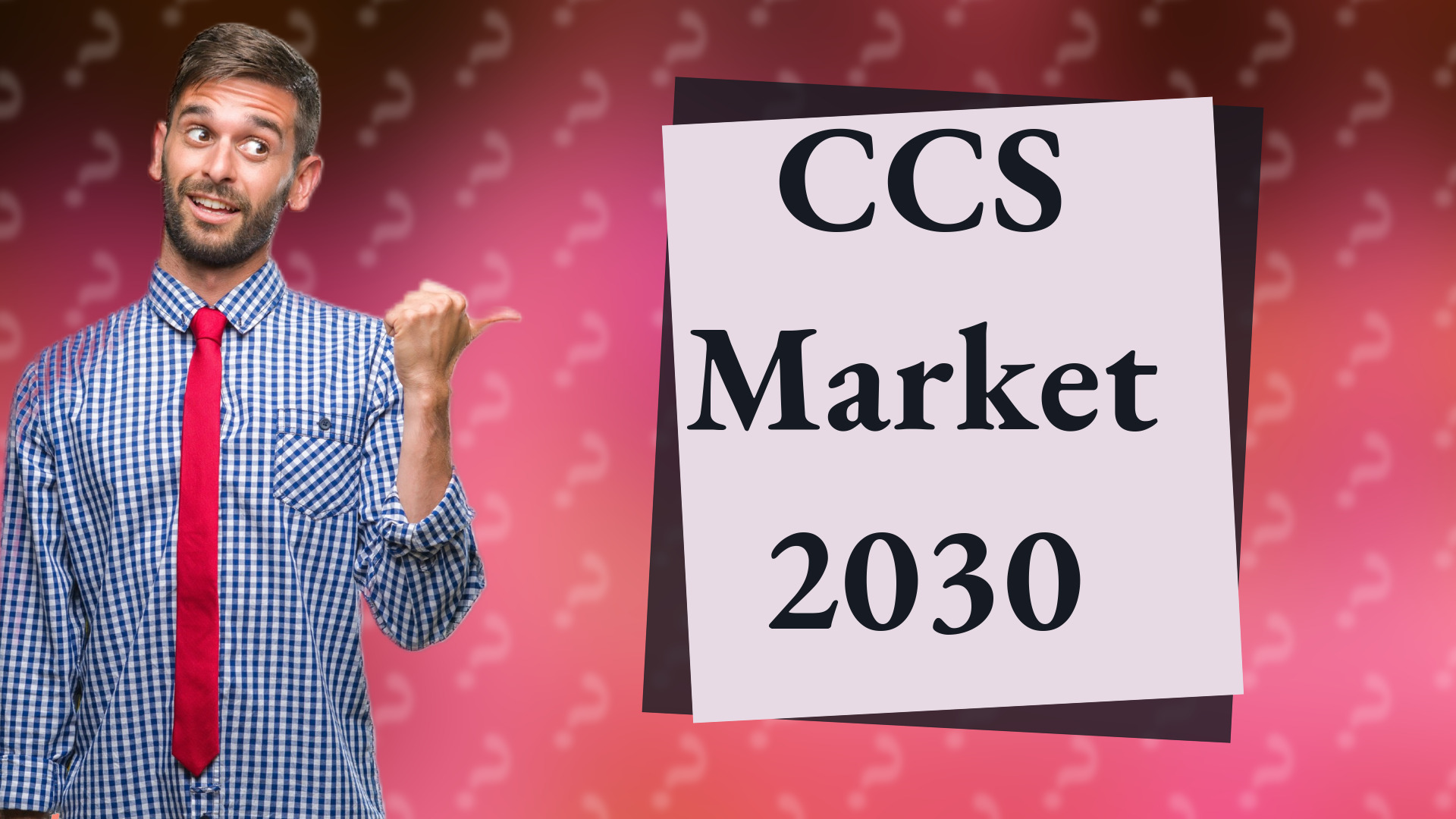 CCS Market 2030