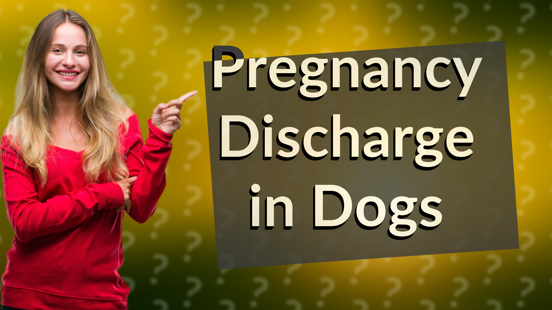 Pregnancy Discharge in Dogs