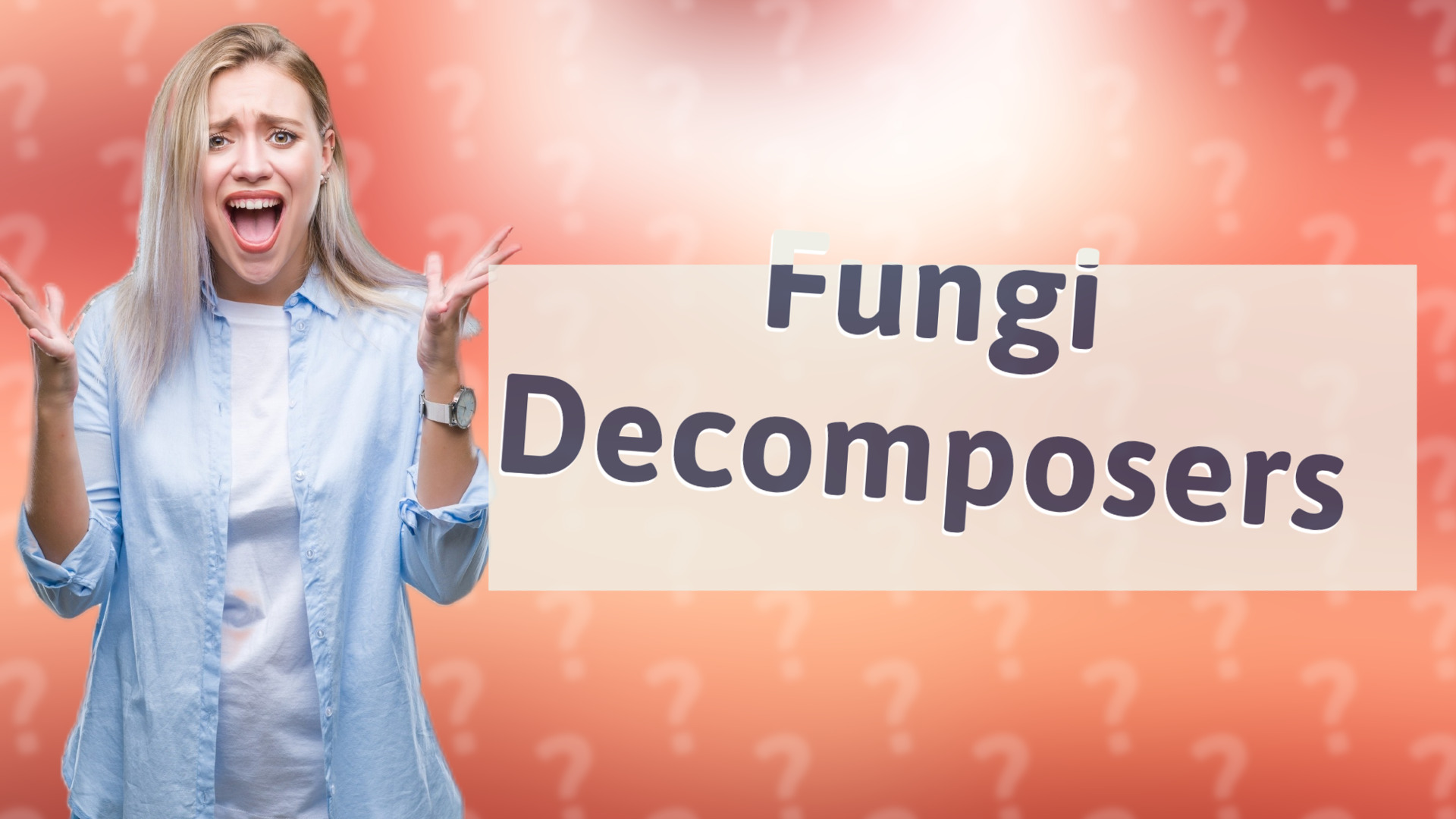 Fungi Decomposers