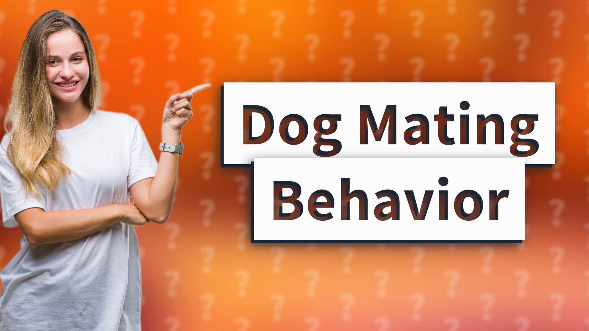 Dog Mating Behavior