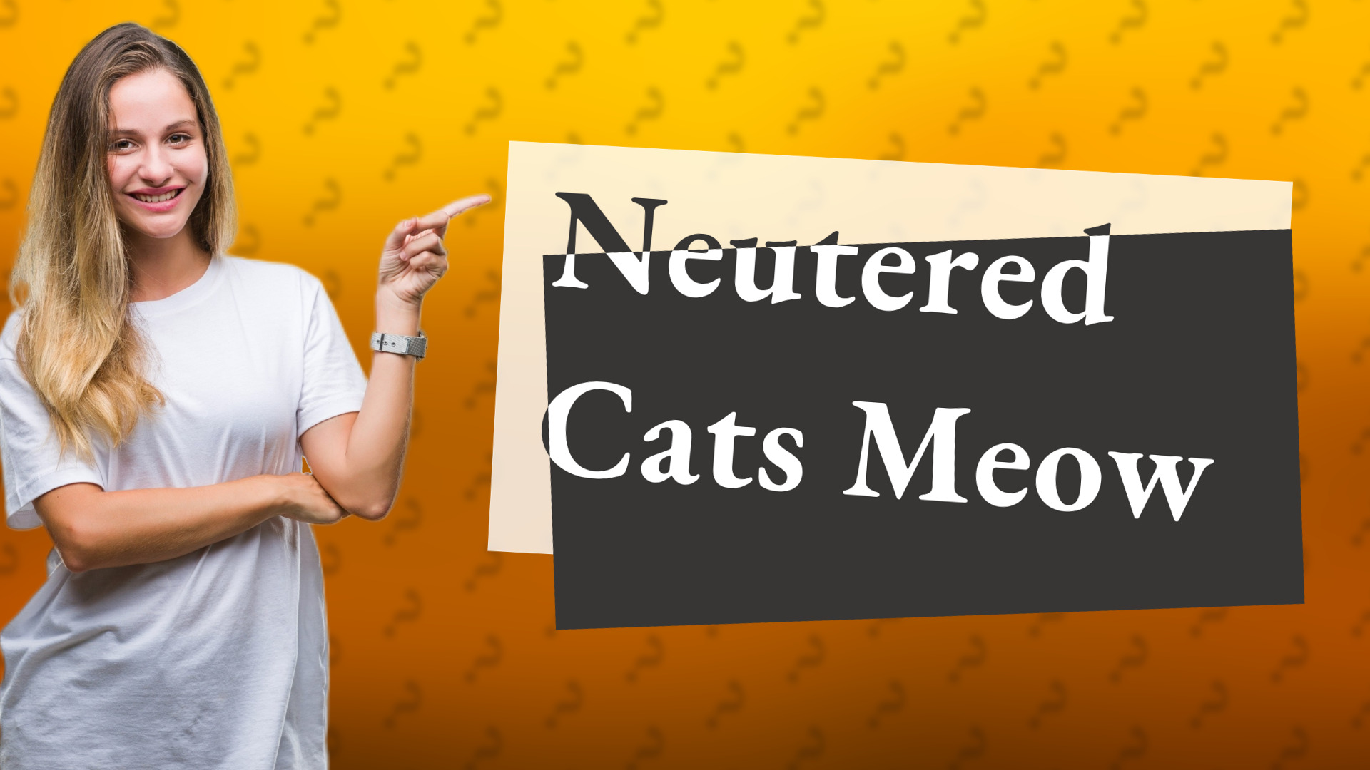 Neutered Cats Meow