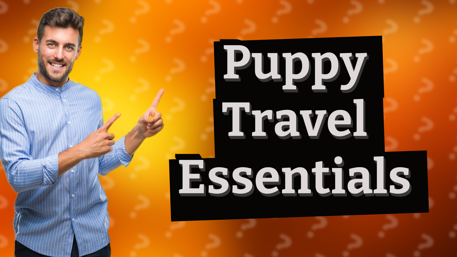 Puppy Travel Essentials