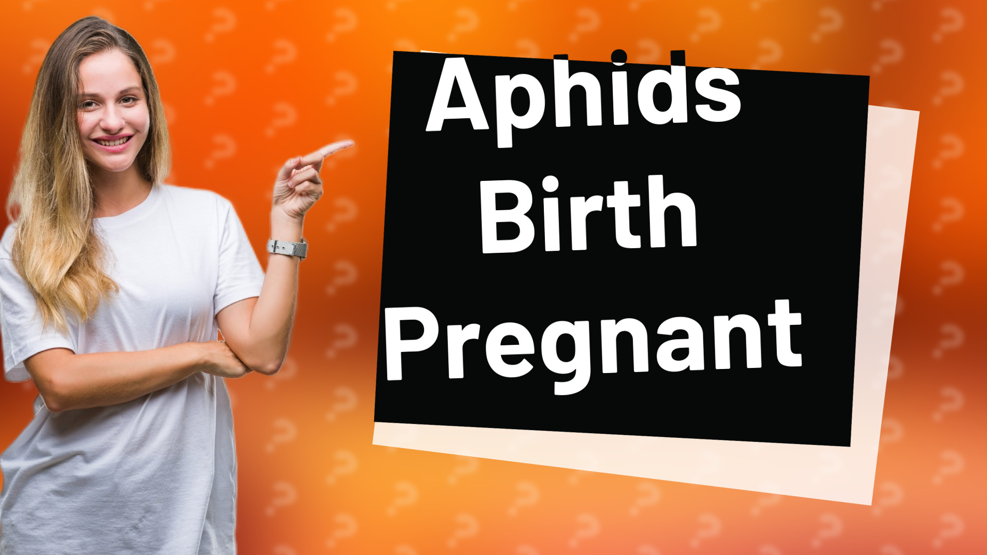 Aphids Birth Pregnant